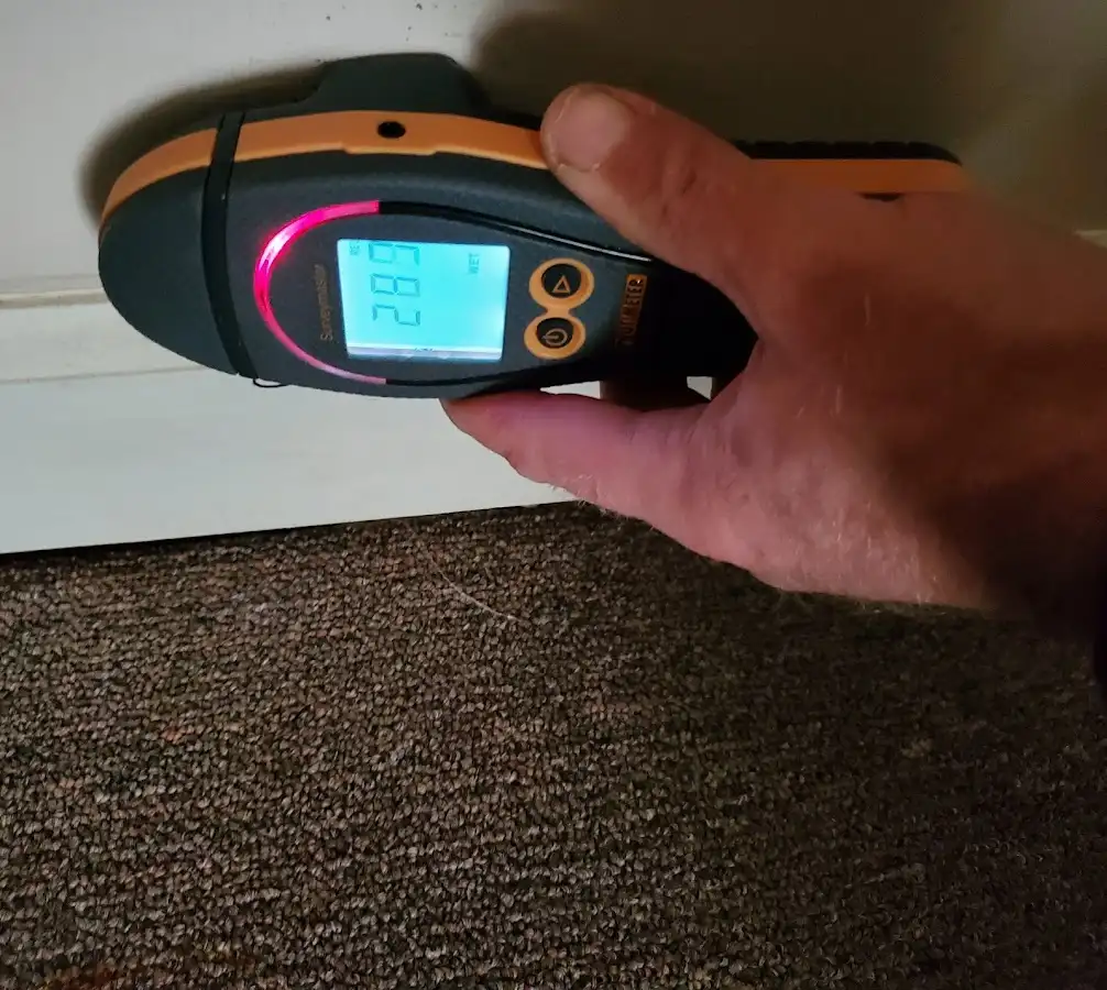 Moisture detection at baseboard during Mold Inspection & Testing in Dodgeville